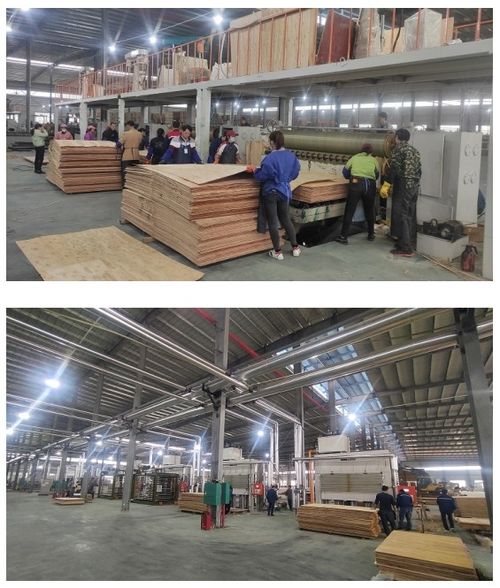 開年開好局，大王椰家具板渠道發力氣勢如虹，網絡服務賦能新增長