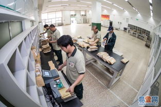 順風投遞 閔行地區的優質網絡服務品牌